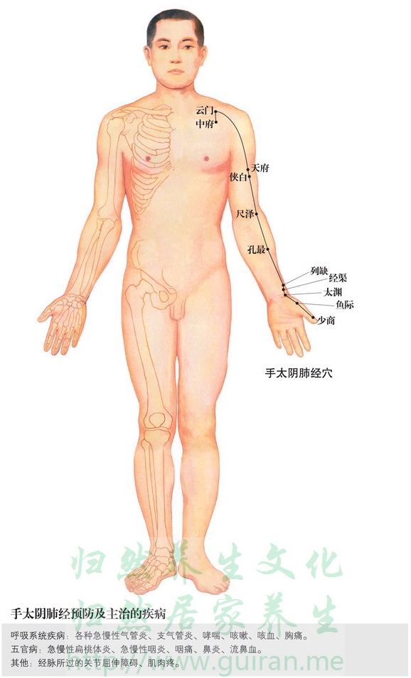 云门穴取穴图