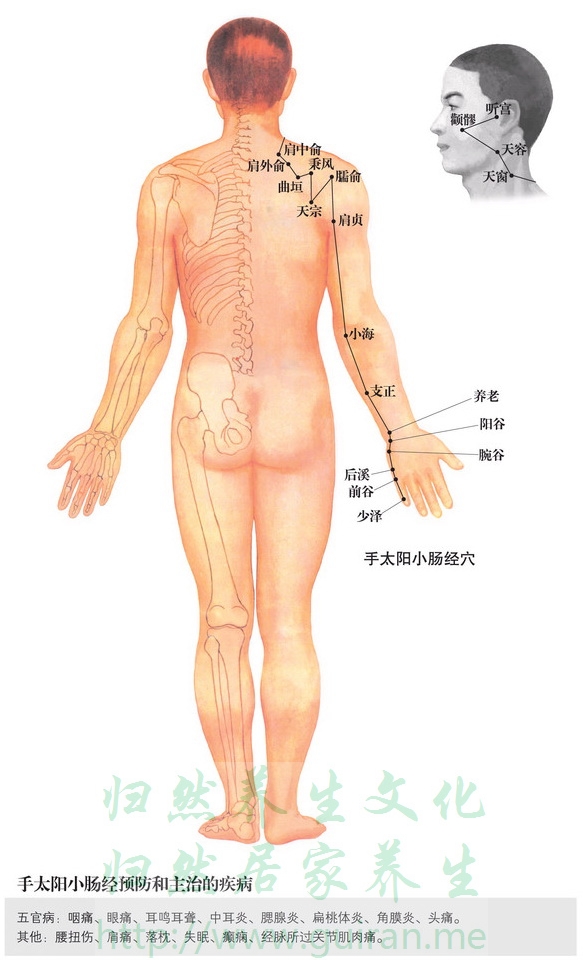 天窗穴取穴图